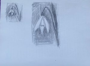 Tulburările de dezvoltare intelectuală | Gabriela Coman