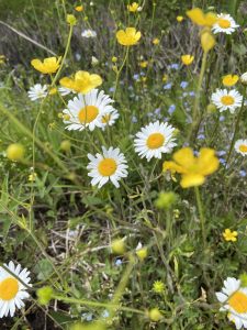 Tulburările de anxietate: când îngrijorarea devine copleșitoare | Gabriela Coman